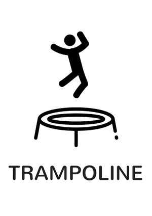 Trampoline's poster