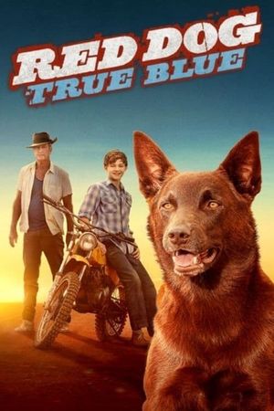 Red Dog: True Blue's poster