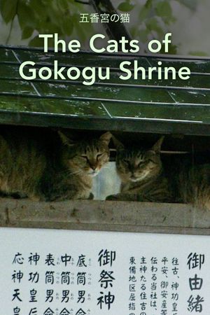 The Cats of Gokogu Shrine's poster