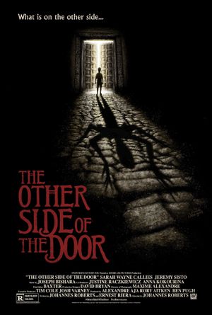 The Other Side of the Door's poster