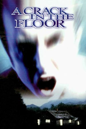 A Crack in the Floor's poster