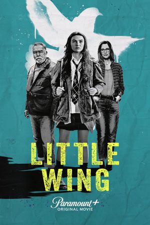 Little Wing's poster