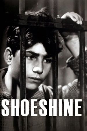 Shoeshine's poster