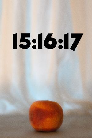 15:16:17's poster