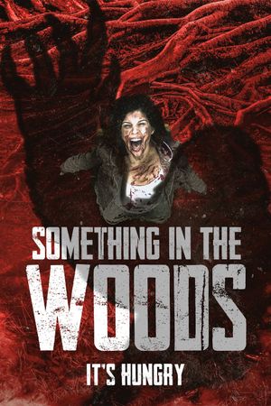 Something in the Woods's poster