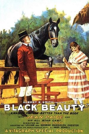 Black Beauty's poster