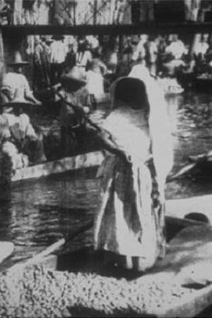 Marche Indien sur le canal de la Viga's poster
