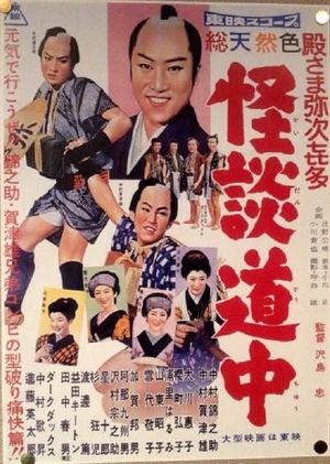 The Lady Was a Ghost's poster