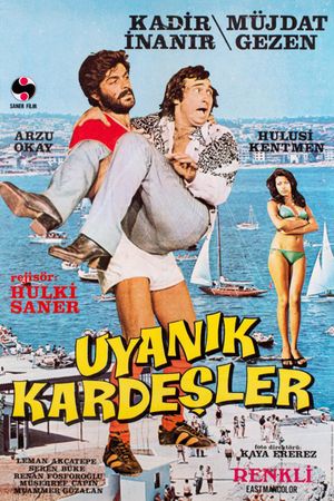 Uyanik Kardesler's poster