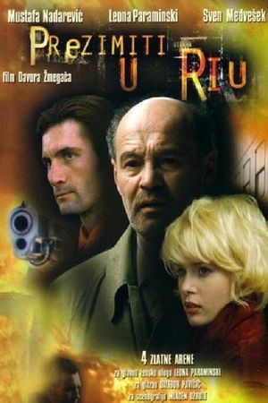 Winter in Rio's poster image