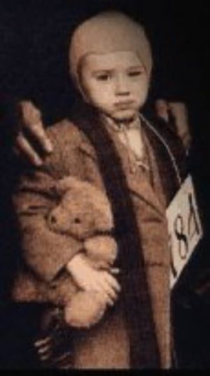 The Children Who Cheated the Nazis's poster