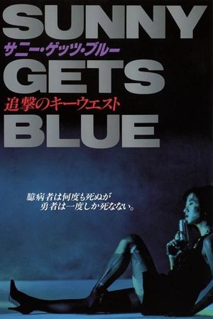 Sunny Gets Blue's poster