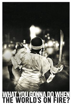 What You Gonna Do When the World's on Fire?'s poster