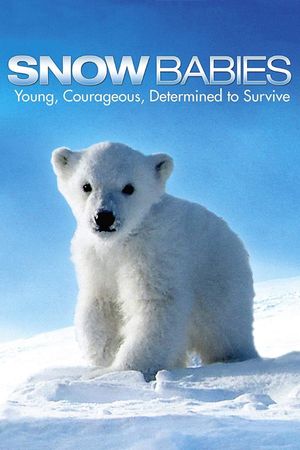 Snow Babies's poster
