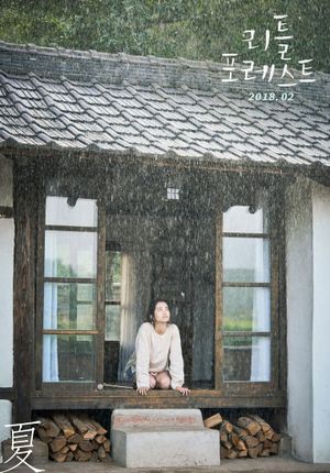 Little Forest's poster