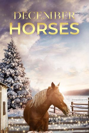 December Horses's poster