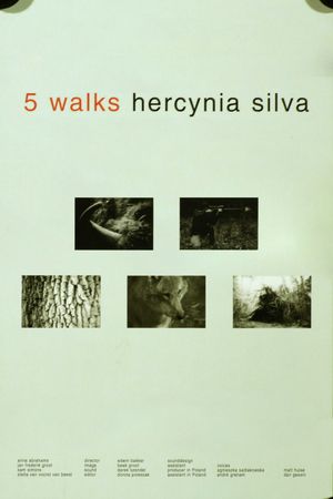 5 Walks. Hercynia Silva's poster