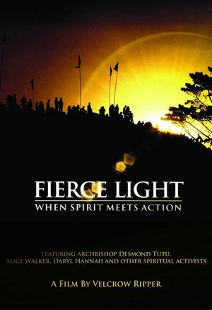 Fierce Light: When Spirit Meets Action's poster