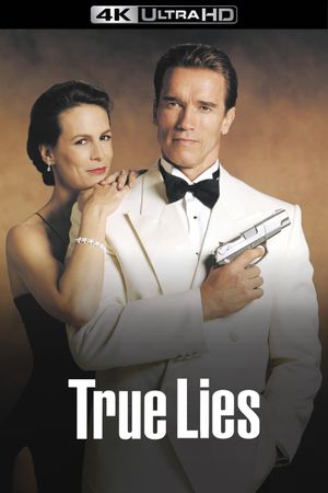 True Lies's poster