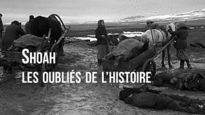 Shoah, les Oubliés de l'Histoire's poster