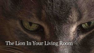 The Lion In Your Living Room's poster