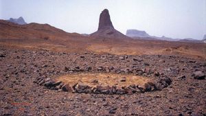 Stones and Flies: Richard Long in the Sahara's poster