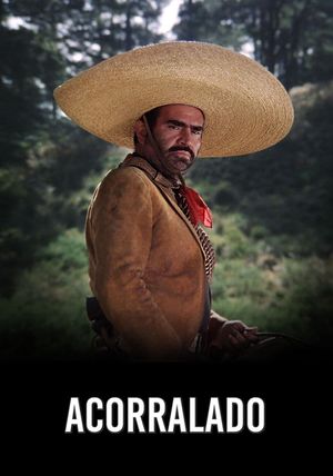 Acorralado's poster