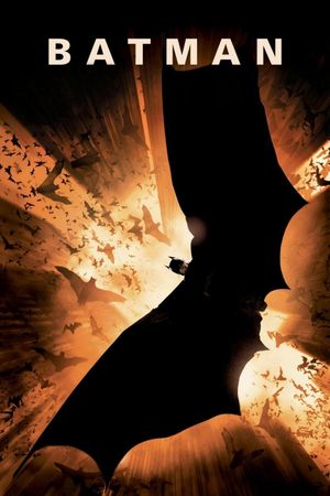 Batman Begins's poster