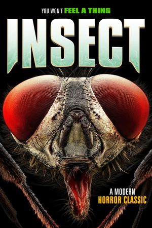 Insect's poster