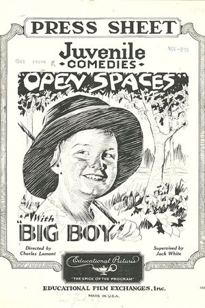 Open Spaces's poster