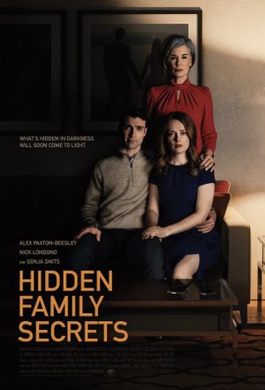 Hidden Family Secrets's poster