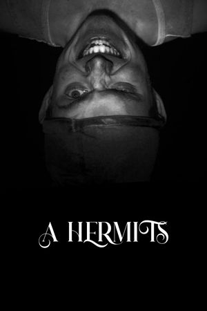 A Hermits's poster