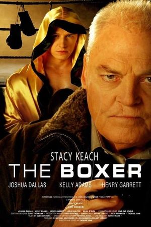 The Boxer's poster