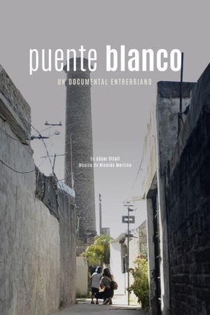 Puente blanco's poster
