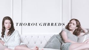Thoroughbreds's poster