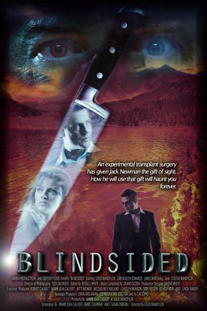 Blindsided's poster