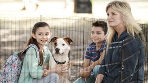 Love to the Rescue's poster