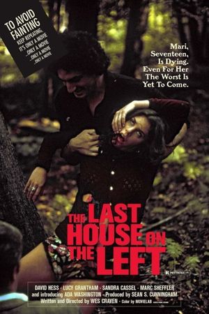The Last House on the Left's poster