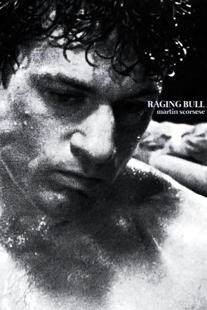 Raging Bull's poster