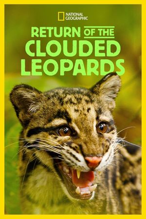 Return of the Clouded Leopards's poster
