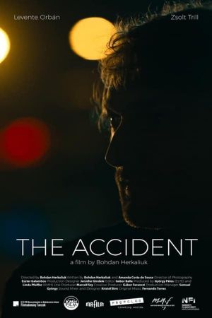 Accident's poster