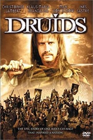 Druids's poster