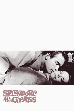 Splendor in the Grass's poster