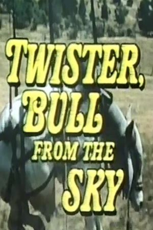 Twister, Bull from the Sky's poster