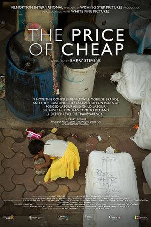 The Price of Cheap's poster image