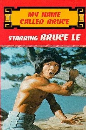 My Name Called Bruce's poster