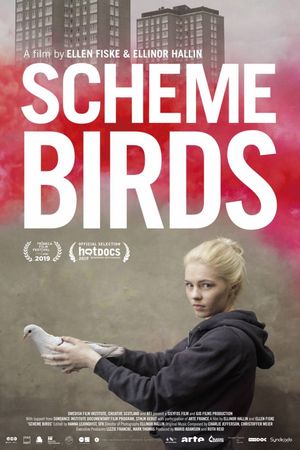 Scheme Birds's poster