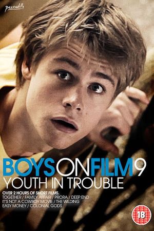 Boys on Film 9: Youth in Trouble's poster image