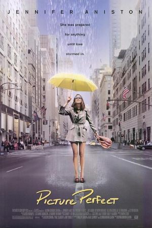 Picture Perfect's poster