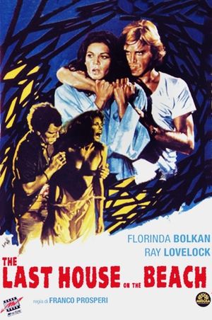 The Last House on the Beach's poster